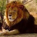 Profile Picture of Rudy Walter Torres Mendez (@waltertorresmendez) on Instagram