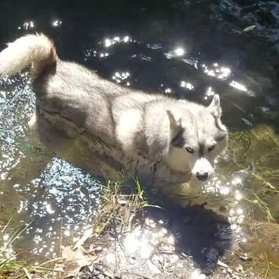 Profile Picture of Chris Perrett (@ChrisPerrett3) on Twitter