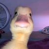 Profile Picture of Michael Samuelson (@mr_jabox) on Tiktok