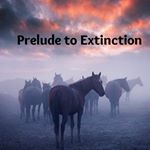 Profile Picture of Debra Koetitz (@debkoetitz) on Instagram