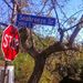 Profile Picture of Stephen Corwin (@stephencorwin2000) on Pinterest