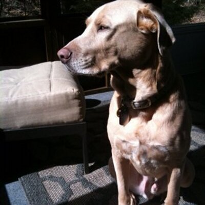 Profile Picture of Christopher Poore (@Oldboy76) on Twitter