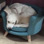 Profile Picture of Gisele Binet (@gisele.binet.96) on Facebook