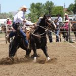 Profile Picture of Marty McPherson (@martymcpherson1) on Instagram