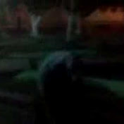 Tony Melgar - Youtube Profile Picture of Tony Melgar (@tonyj10) on Youtube