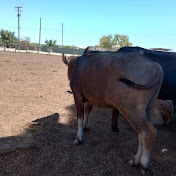 Nathan Lor - Youtube Profile Picture of Nathan Lor (@nathanlor4014) on Youtube