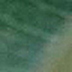 Profile Picture of Eva Villamarin Alvarez (@villambro) on Flickr