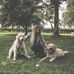 Profile Picture of Alyssa Keller (@alyssa.keller.946) on Facebook