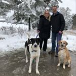 Profile Picture of Shari Walsh (@shariwalsh08) on Instagram