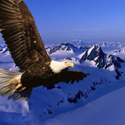 Profile Picture of James Wang (@jameswang8601) on Youtube