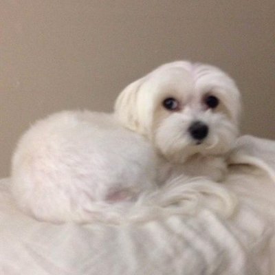 Profile Picture of Elisa (@MatthewD1966) on Twitter