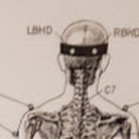 Profile Picture of David Eardley (@david-eardley-8) on Quora