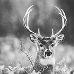 James Whitaker - Instagram Profile Picture of James Whitaker (@_jameswhitaker_) on Instagram