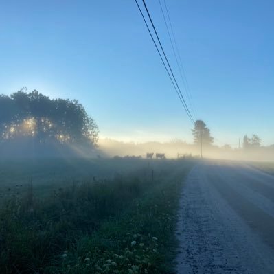 Profile Picture of Jacob Lowell (@lowell_jacob) on Twitter