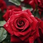 Profile Picture of Yolanda Terrones Quintana (@yolanda.terrones.quintana.2025) on Facebook