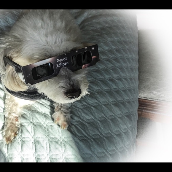 Profile Picture of Jeanne Pellatz (@jepellatz) on Poshmark