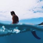 Profile Picture of Chad Irons (@jackstadt_5403__dewitt) on Instagram