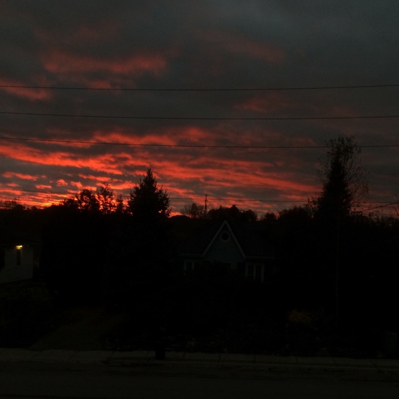 Profile Picture of Breelynn Amyot (@bumblebree806) on Poshmark