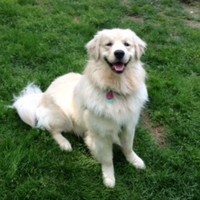 Profile Picture of Michael Tischler (@michael-tischler-1) on Quora