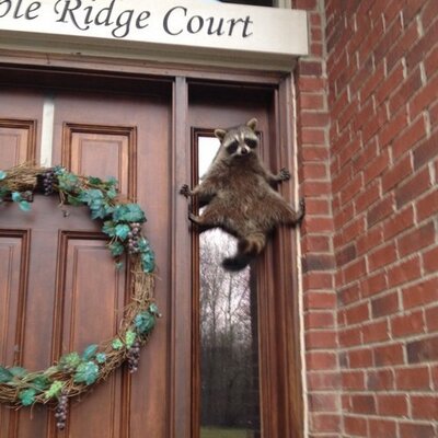 Profile Picture of Joe Is NOT My Prez - Andrew S. Alley (@Andrew_Alley) on Twitter