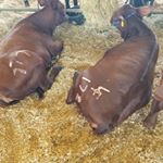 Profile Picture of Jeff Dobson (@jeff.dobson.927) on Instagram