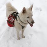 Profile Picture of Tyler Wilton (@tyler.wilton.96) on Instagram