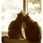 Profile Picture of Lisa Clemenson (@lisarc2002) on Instagram