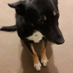 Profile Picture of maxine. (@max_woolley123) on Instagram