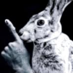 Profile Picture of Jonathan Singer (@Jonathan-Singer) on Facebook