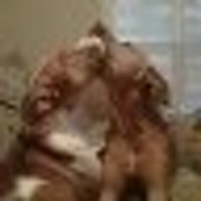 Profile Picture of Michael Hamburg (@hamburg_michael) on Twitter