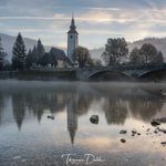 Profile Picture of Thomas Dold (@t.dold) on Instagram