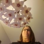 Profile Picture of Cindy Dicus-Wieser (@dicuswieser) on Instagram