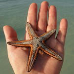 Profile Picture of Gravityworks8 (@gravityworks8) on Flickr