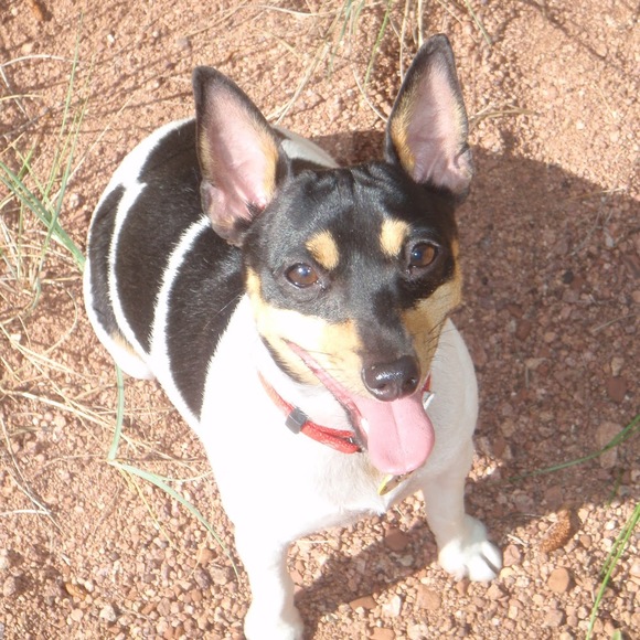 Profile Picture of Carmen Athens (@carmenath) on Poshmark