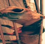 Profile Picture of Kendra Bednarek (@kendra.bednarek.5) on Facebook