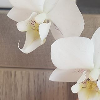 Profile Picture of Isabelle Lima (@Isabelle-Lima) on Facebook