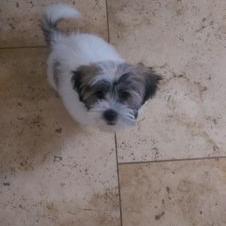 Profile Picture of Jose Alves (@josealves196341) on Twitter