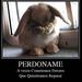 Profile Picture of Jeff Macias (@jeffmacias1) on Pinterest