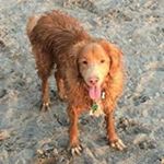 Profile Picture of Chris Lough (@chris.lough) on Instagram