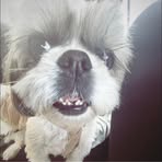 Eriksen Dolly - Facebook Profile Picture of Eriksen Dolly (@Eriksen-Dolly) on Facebook