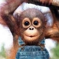Profile Picture of Geoffrey Moyer (@geoffrey-moyer-2) on Quora