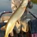 Profile Picture of Greg Huse (@greg.huse.1) on Facebook