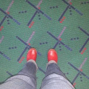 Profile Picture of Amy Krieger (@@amy_akrieger) on Twitter