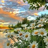 Profile Picture of good itemss (@@rosshobb) on Tiktok
