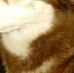 Profile Picture of Joseph Engle (@joseph.engle.315) on Facebook
