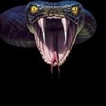 Profile Picture of Деректор Огни (@derektorogni) on Instagram