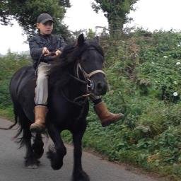 Profile Picture of Joseph Mansell (@KryptixModding1) on Twitter