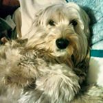 Profile Picture of Mandi (@mggcalderon) on Instagram