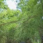 Profile Picture of Adam Guzman (@Adam-Guzman) on Facebook