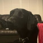 Profile Picture of Bailey Monk (@monk.bailey) on Instagram